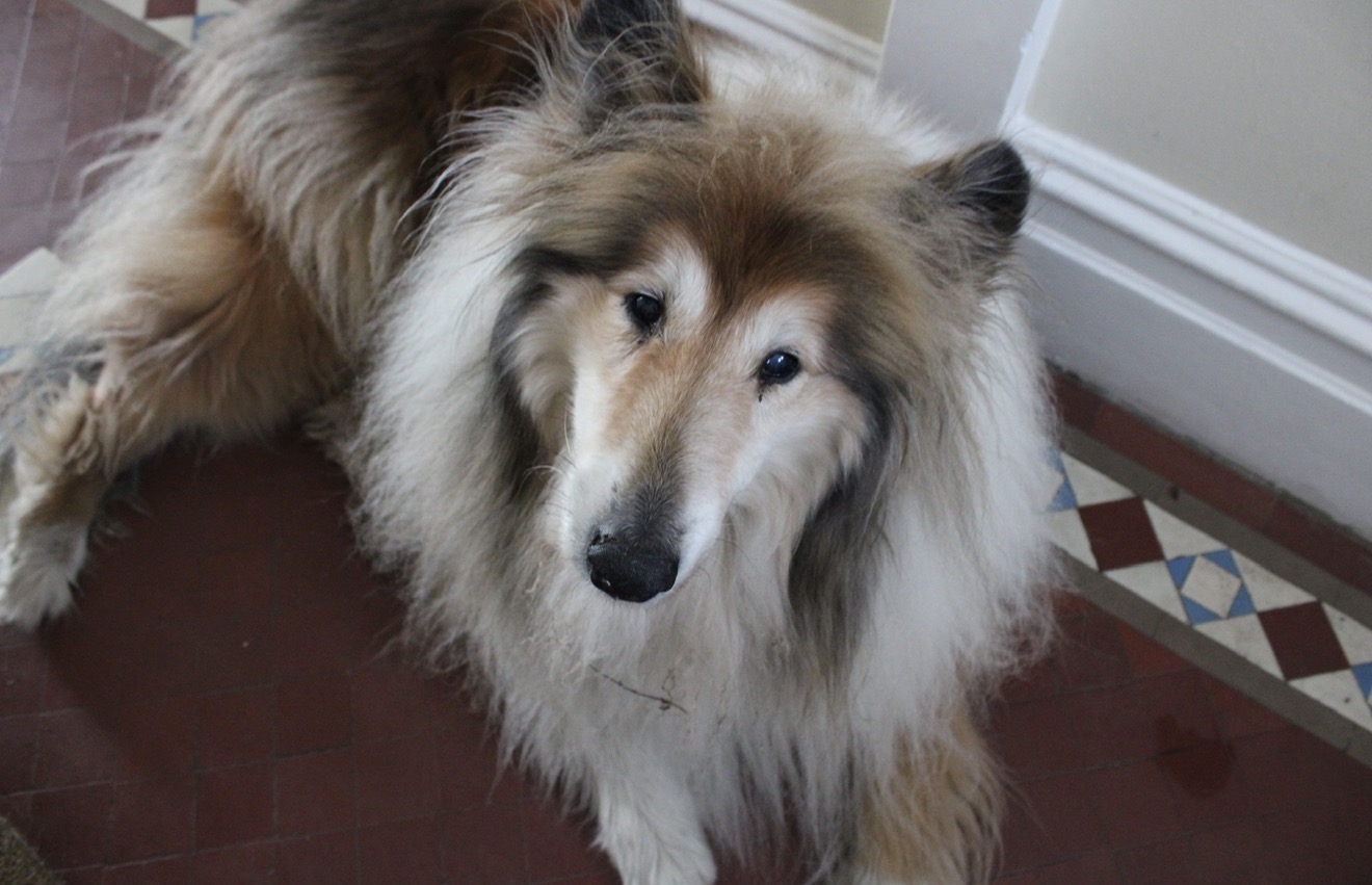Memory with Sophie, photograph 31
